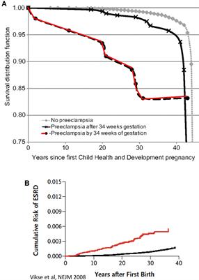 Frontiers | Preeclampsia: Novel Mechanisms And Potential Therapeutic ...